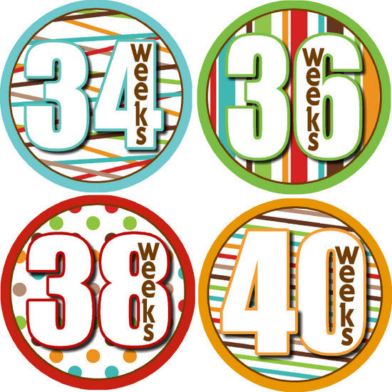 Wild Ride Pregnancy Belly Photo Stickers