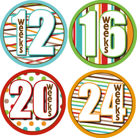 Wild Ride Pregnancy Belly Photo Stickers