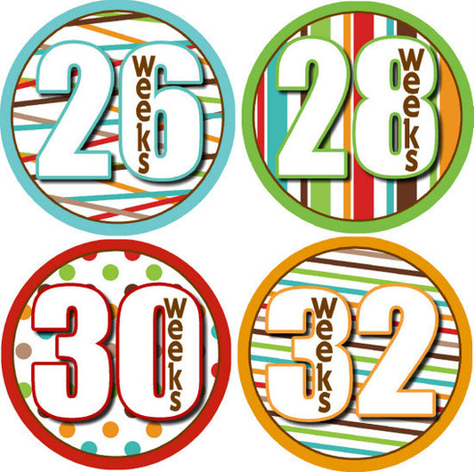 Wild Ride Pregnancy Belly Photo Stickers
